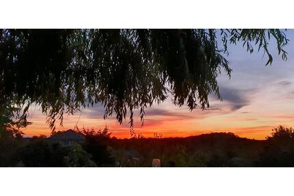 Haus in Buckow - 557.000,00&nbsp;EUR Kaufpreis, ca.&nbsp; 360,00&nbsp;m&sup2; in Oberbarnim (PLZ: 15377)