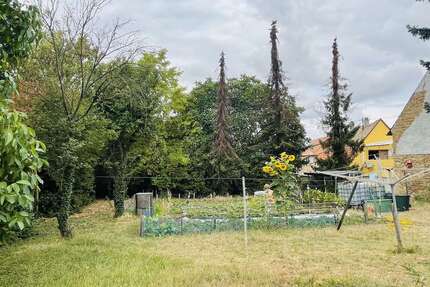 Grundstück zu verkaufen in Hillesheim 195.000,00 € 1202 m²