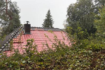 Einfamilienhaus mit Potenzial in Naumburg (Hessen)