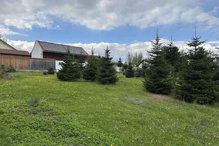 Grundstück zu verkaufen in Schierling 249.000,00 € 909 m²