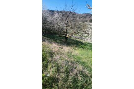 Garten Grundstück - 180,00&nbsp;EUR Kaltmiete, ca.&nbsp; 0,00&nbsp;m&sup2; in Neuenstadt am Kocher (PLZ: 74196)