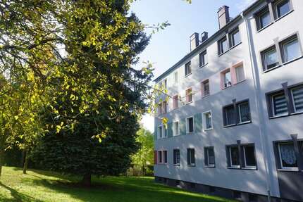 Wohnung zum Kaufen in Sehmatal-Cranzahl 115.000,00 € 126 m²