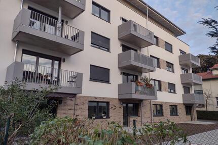 Moderne 3-Zimmer-Wohnung mit Terrasse - Dresden Pieschen-Nord/Trachenberge