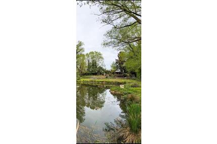 Angelteich Fischteich Teich Angeln Fische Pacht 300.- mtl. - Solingen Aufderhöhe