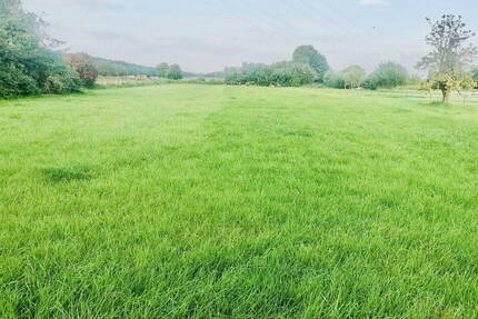 PRIVAT: Zwei große Baugrundstücke mit unverbaubarem Wiesenblick - Nur 5 Min. zum See! KP ab 85.000 € - Grünheide Ortsteil Kagel