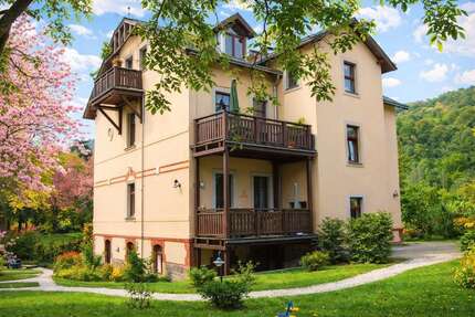 Wohnung zum Kaufen in Sachsen - Radebeul 800.000,00 € 200 m²