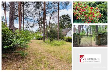 Grundstück zu verkaufen in Dahlwitz-Hoppegarten 215.000,00 € 438 m²