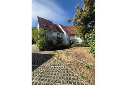 Wohnung zum Mieten in Sigm 380,00 € 31.58 m²