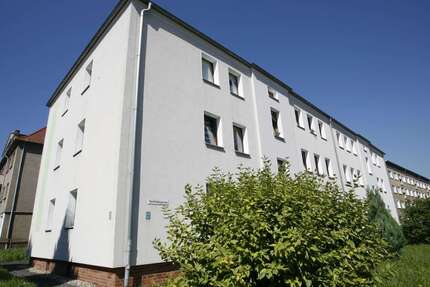 Wohnung zum Mieten in Zittau 377,00 € 60 m²