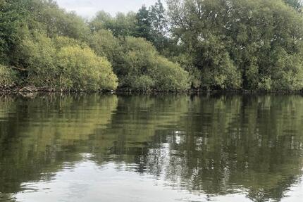 Ferienbungalow am See in der Uckermark zur Miete - Prenzlau
