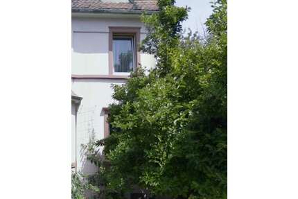 Haus zum Kaufen in Frankfurt am Main 1.020.000,00 € 350 m²