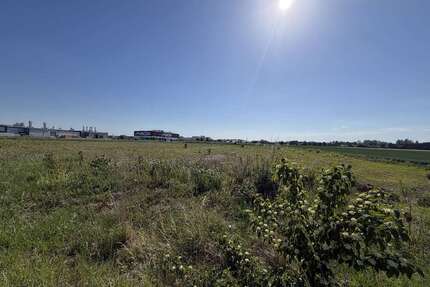 Grundstück in Asbach-Bäumenheim 1.500.000,00 € 30076 m²