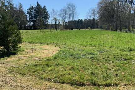 Haus zum Kaufen in Ladbergen 690.000,00 € 155 m²