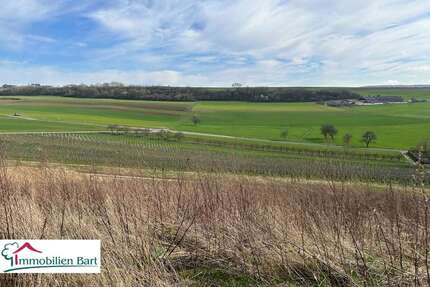 Grundstück zu verkaufen in Wincheringen 344.800,00 € 1292 m²