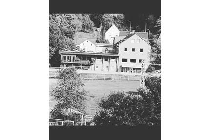 Mehrfamilienhaus Pension - 495.000,00&nbsp;EUR Kaufpreis, ca.&nbsp; 2.000,00&nbsp;m&sup2; in Fischbach bei Dahn (PLZ: 66996)