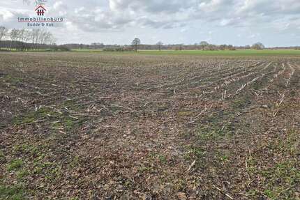 Grundstück in Friesoythe 55.870,00 € 5587 m²