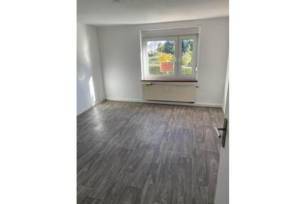 Schöne helle 3 Raumwohnung 3 Zimmer Großweitzschen mit Stellplatz - Döbeln