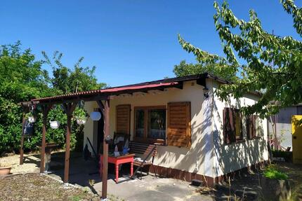 Schrebergarten Pachtgarten Haus Selbstversorgung Gemüse Obst - Berlin Lichtenberg