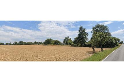 Eigentum-Freizeitgrundstück in Alleinlage Nähe Bautzen zu verpachten - Göda