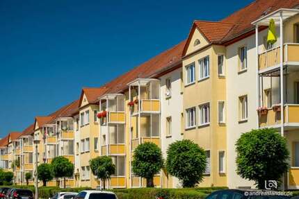 Wohnung zum Mieten in Magdeburg 555,00 € 74 m²