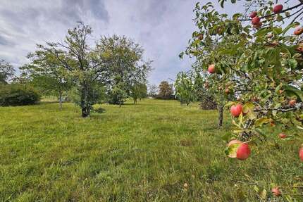 Haus zum Kaufen in Mainhardt 496.000,00 € 255 m²