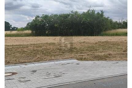 IHR NEUES KAPITEL BEGINNT HIER - 65.780,00&nbsp;EUR Kaufpreis, ca.&nbsp; 715,00&nbsp;m&sup2; in Dreiheide (PLZ: 04860)