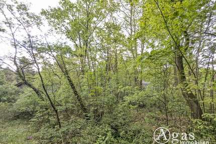 Grundstück zu verkaufen in Schwielowsee Caputh 580.000,00 € 1329 m² - Schwielowsee / Caputh