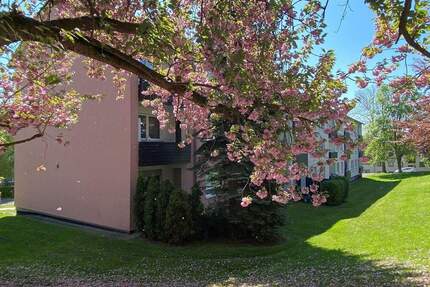 3- Zimmer-Erdgeschoß- Wohnung mit Terrasse in Fritzlar