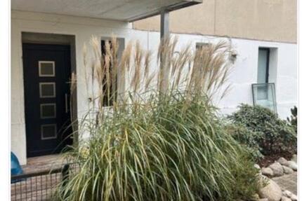2-Zimmer-EG-Wohnung mit Terrasse & neuem Wintergarten - Berlin Reinickendorf