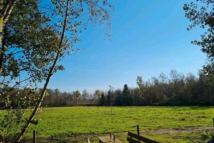 Weideland für Kleintiere - 150,00&nbsp;EUR Kaltmiete, ca.&nbsp; 0,00&nbsp;m&sup2; in Oldenburg (PLZ: 26131) Eversten