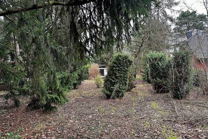 Sonniges Baugrundstück Bauträger frei - Hohen Neuendorf