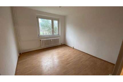 *Frisch Renovierte Wohnung* 4 Zimmer im EG in Kindelbrück