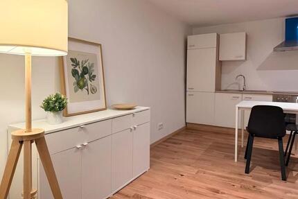 1-Zimmer-Apartment: Möbliert, Fußbodenheizung - Wiesbaden Mainz-Amöneburg