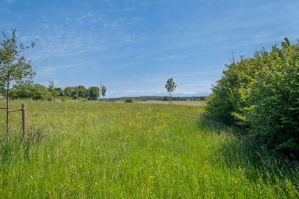 Grundstück zu verkaufen in Pähl 890.000,00 € 930 m²