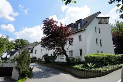Wohnung zum Mieten in Zwickau 648,00 € 81 m²