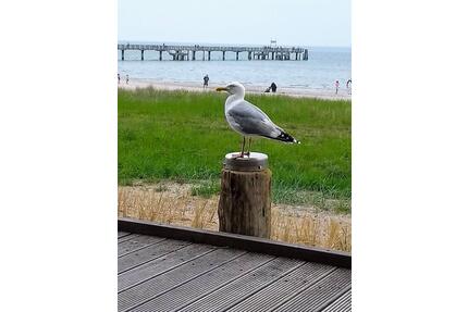 Lücken Ferienwohnung Ostsee - 75,00&nbsp;EUR Kaltmiete, in Boltenhagen (PLZ: 23946)
