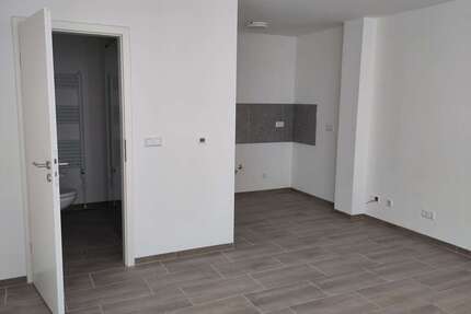 Wohnung zum Mieten in Frankweiler 420,00 € 25 m²