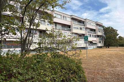Wohnung zum Kaufen in Mannheim 250.000,00 € 79 m²