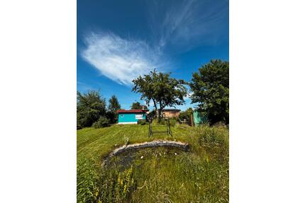 Pachtgarten aus Zeitmangel abzugeben - Reichenbach im Vogtland