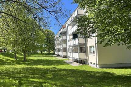 Wohnung zum Mieten in Chemnitz 320,00 € 61 m²
