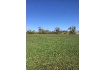 Freizeitwiese oderund Pferdekoppel für diverse Möglichkeiten - Forchheim