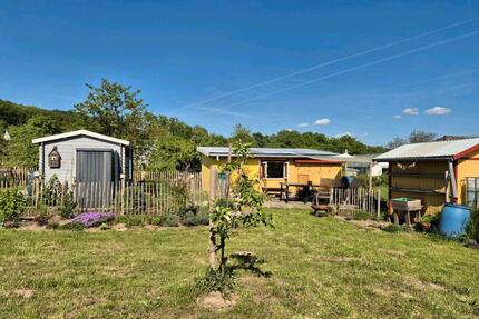 Wir geben unseren ruhigen Kleingarten unterhalb des Klüts ab - Hameln Kernstadt