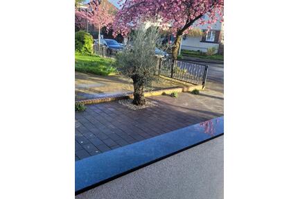 EFH mit 180m2 (Wf+Nf) saniert und vollmöbliert mit Garten, Pool - Duisburg Huckingen