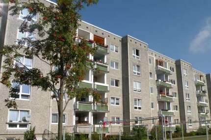 Wohnung zum Mieten in Stralsund 361,08 € 65.65 m²