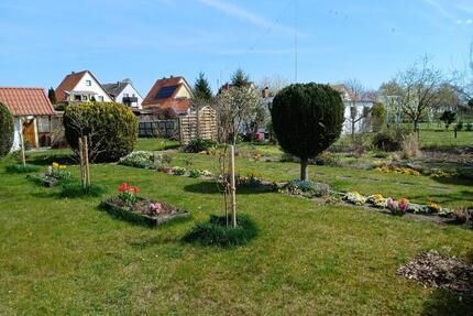 Kleingarten in Salzgitter-Salder
