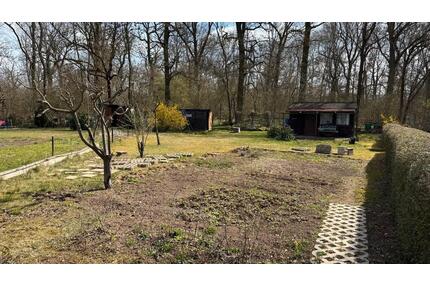 Kleingarten Pachtgarten - 400,00&nbsp;EUR Kaltmiete, ca.&nbsp; 0,00&nbsp;m&sup2; in Schönebeck (Elbe) (PLZ: 39218)
