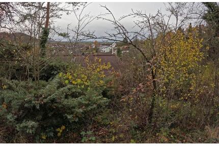 Haus bei Rottenburg – Zwangsversteigerung 29.04. – Besichtigung - Rottenburg am Neckar