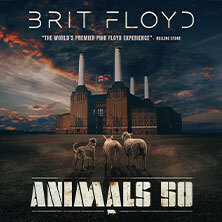 Brit Floyd - ANIMALS 50