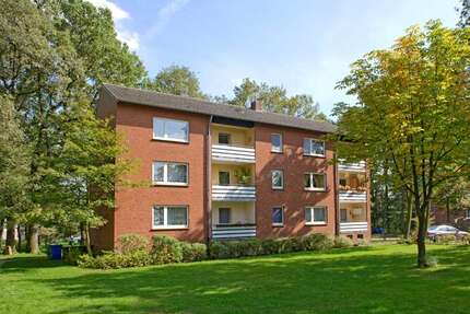 Wohnung zum Mieten in Ibbenbüren 519,00 € 64.04 m²