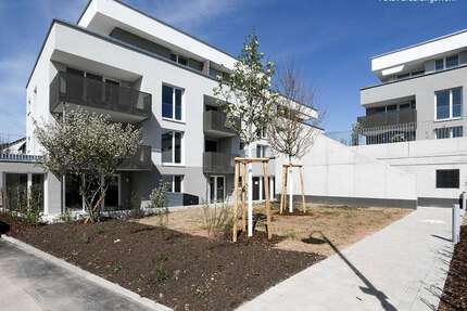 Wohnung zum Kaufen in Brackenheim 549.000,00 € 100.46 m²